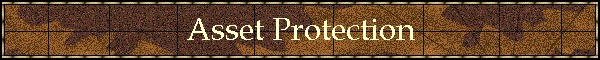 Asset Protection