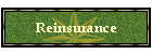 Reinsurance