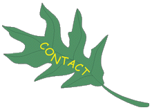 Contact Button