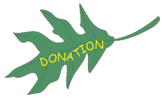 Donation Button