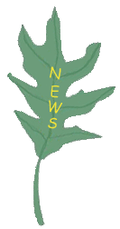 News Button