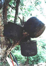 cooking pans.jpg (69023 bytes)