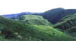 omgeving1.jpg (31362 bytes)