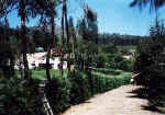 villas.jpg (101198 bytes)