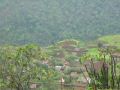 105-0503_IMG.JPG
