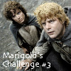 Marigold's Challenge #3