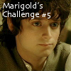 Marigold's Challenge #5