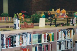 A picture of bookshelves and statue of girl reading.
