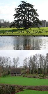Leeds Castle grounds