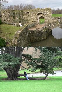 Leeds Castle grounds