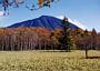 Photos of Nikko and Yokohama