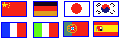 Click on your Flag to Translate this page