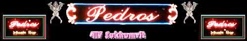 Pedros Music Bar - 417 Sukhumvit Rd.