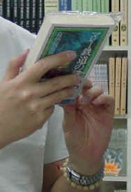 DSC02939.jpg (40736 bytes)