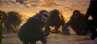 dawn03.jpg (25478 bytes)