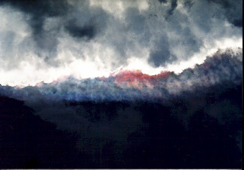 dragon4.jpg (44350 bytes)