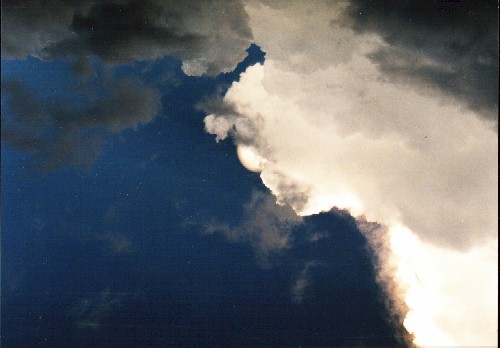 dragon6.jpg (37752 bytes)