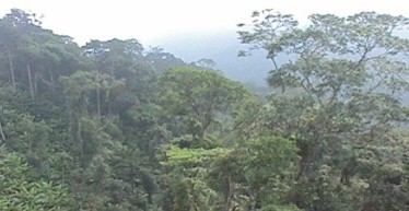 ��������W����l�L Genting Highland, Malaysia