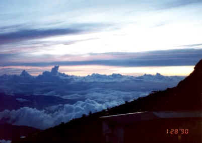 mk5.jpg (19359 bytes)