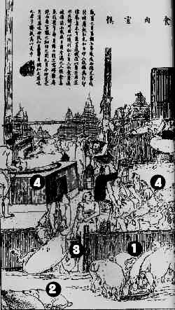 Pic00005.tif (937256 bytes)