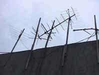 cn23.jpg (44350 bytes)