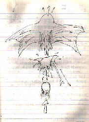 tomorrow3.jpg (44677 bytes)