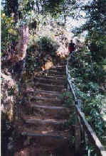 SummitTrail.jpg (63637 bytes)