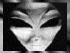alienani.gif (8199 bytes)