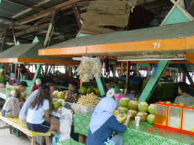 api10.jpeg (11989 bytes)