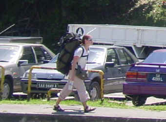 api20s.jpeg (12840 bytes)