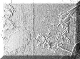 �饻�m�ʰ��]��ø���n