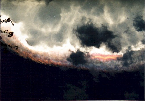 dragon1.jpg (46414 bytes)