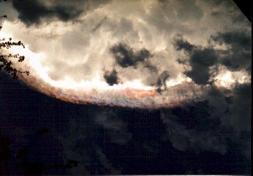 dragon2.jpg (52379 bytes)