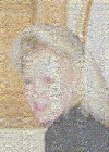 veldblom.jpg (74749 bytes)