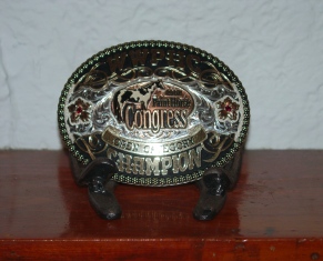 horseshoe buckle holder