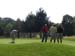 GCMGO14-13
