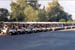 GolfCarts