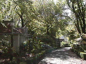 A Shady Glade All Our Own