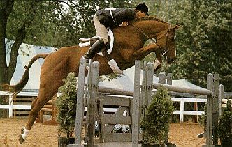Photo de Cheval � l'Obstacle