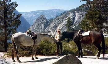 Photos de Chevaux en Randonn�e