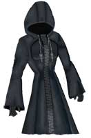 Organization XIII