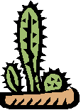 Cactus