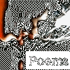 Click here to view my poems