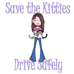Drive Safely!  Base: AYW dolls