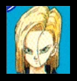 ANDROID 18