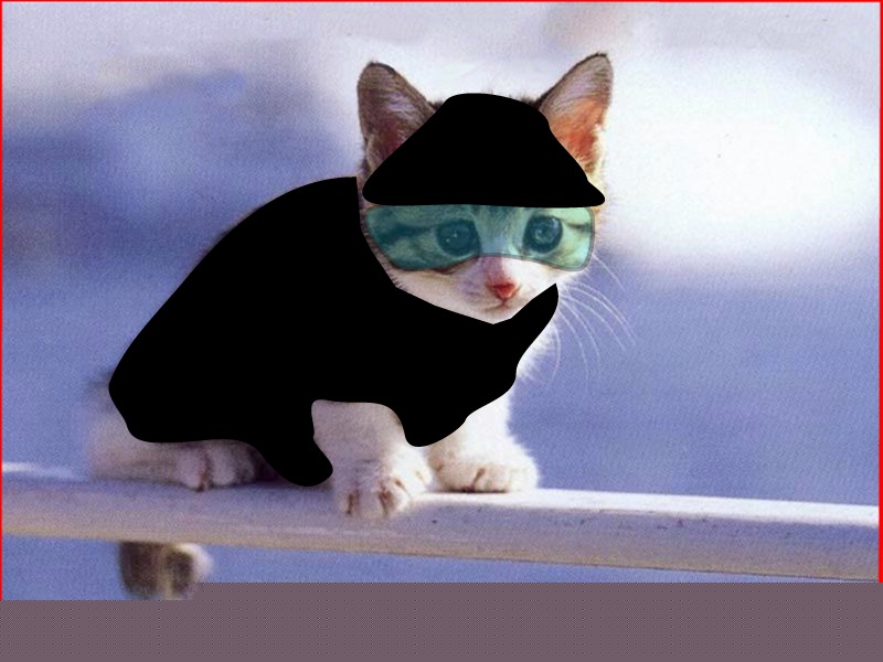 The Cat Burglar