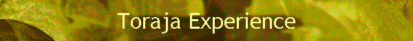 Toraja Experience
