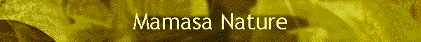 Mamasa Nature