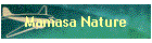 Mamasa Nature