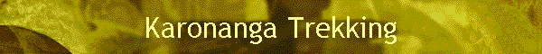 Karonanga Trekking